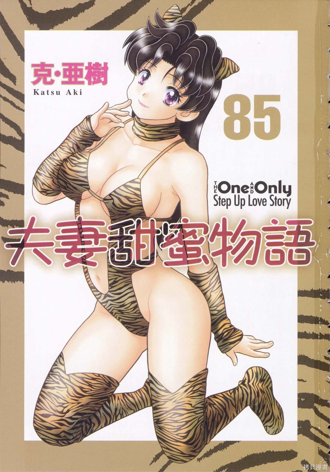 第85卷