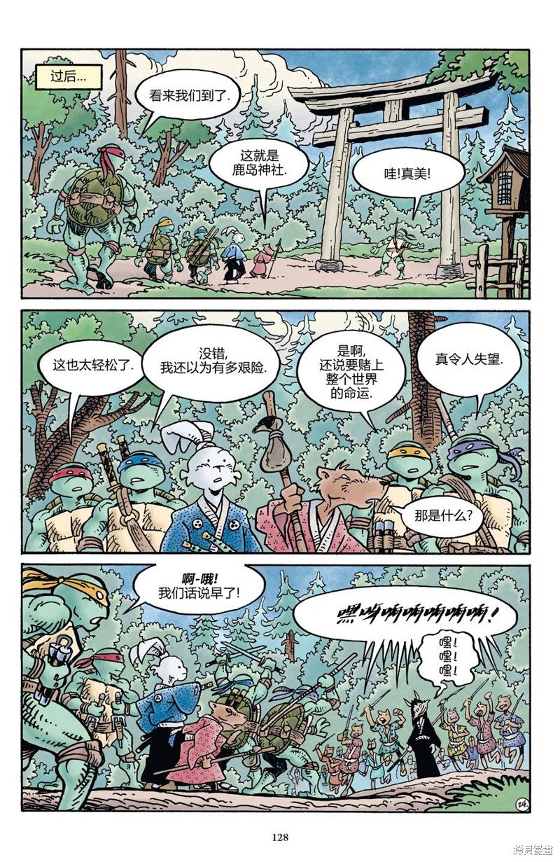 龟兔联动2017