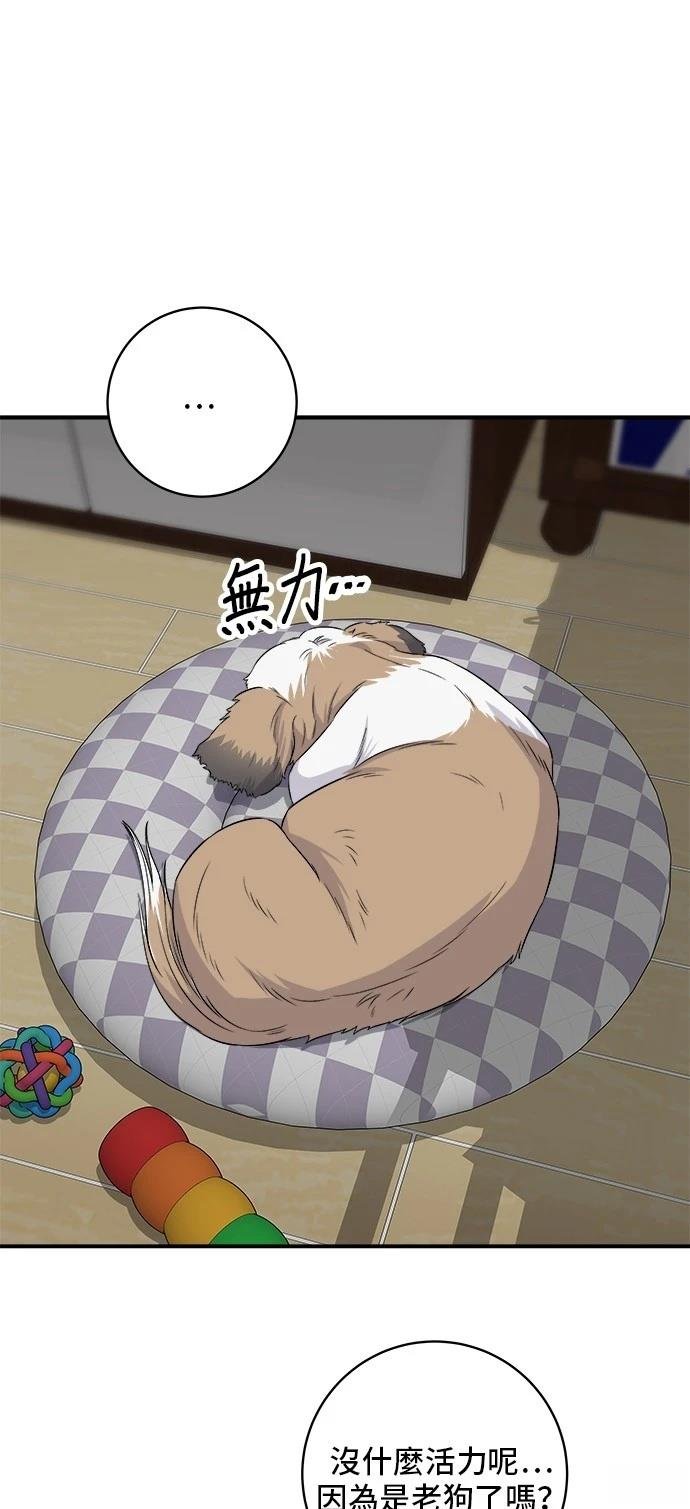 第203话
