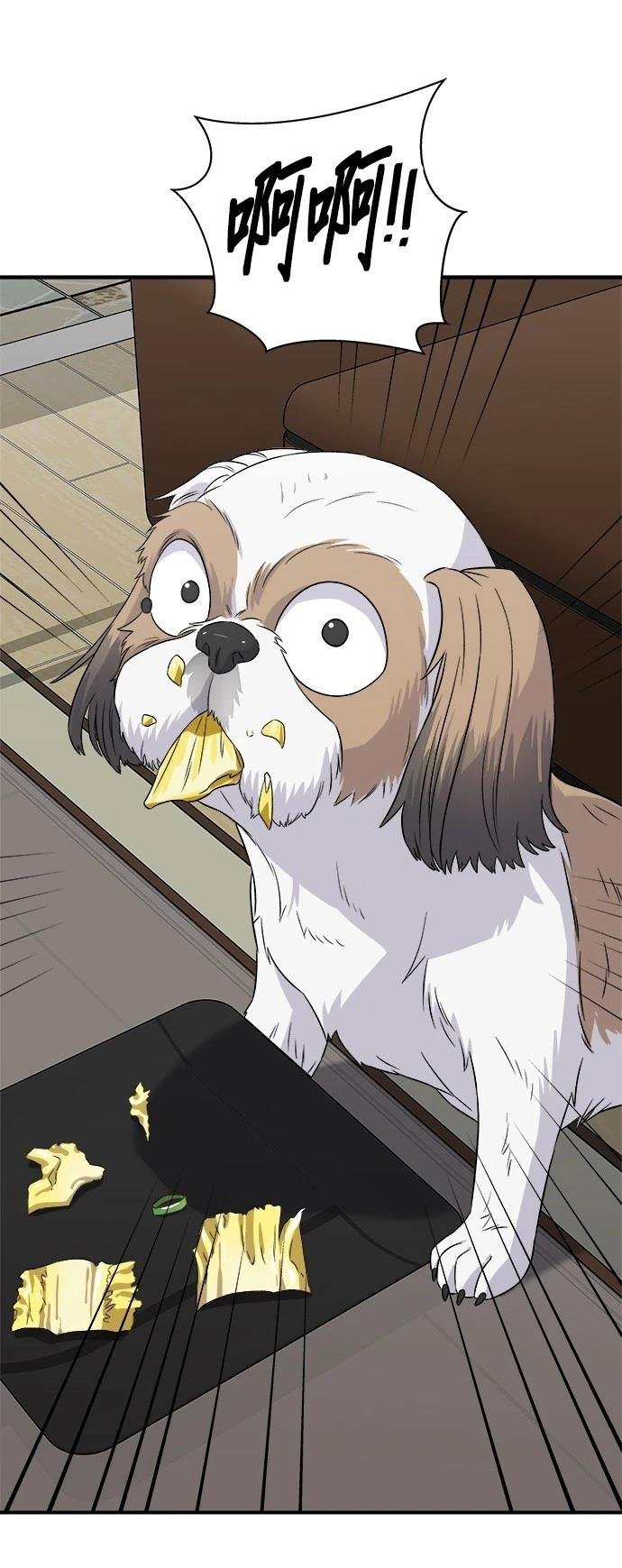 第204话