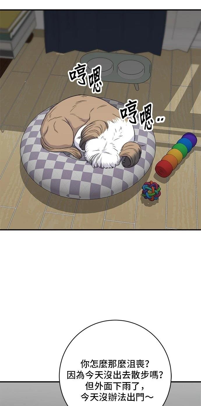 第204话