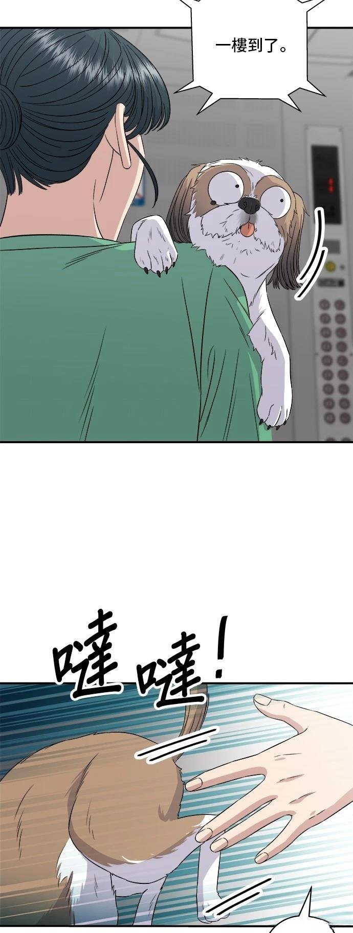 第204话
