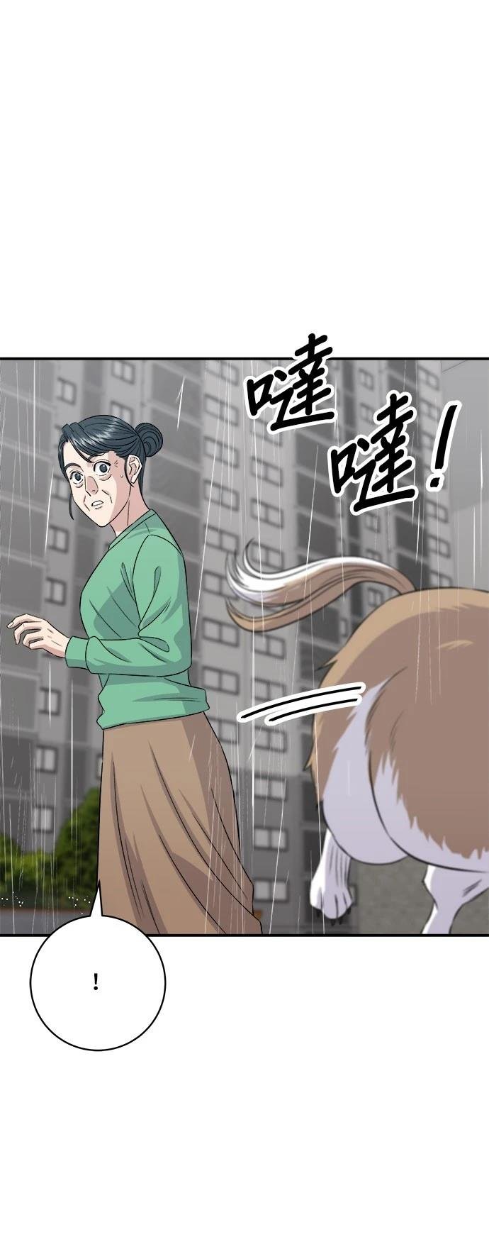 第204话