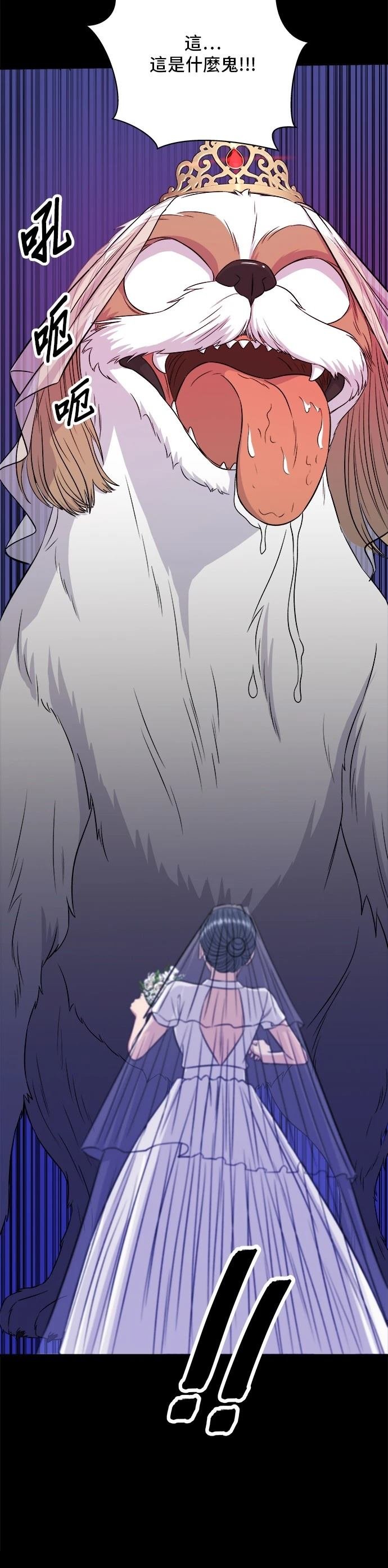 第211话