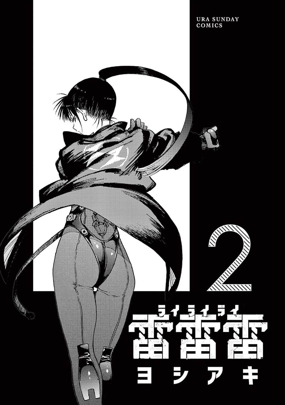 2卷附录嵌