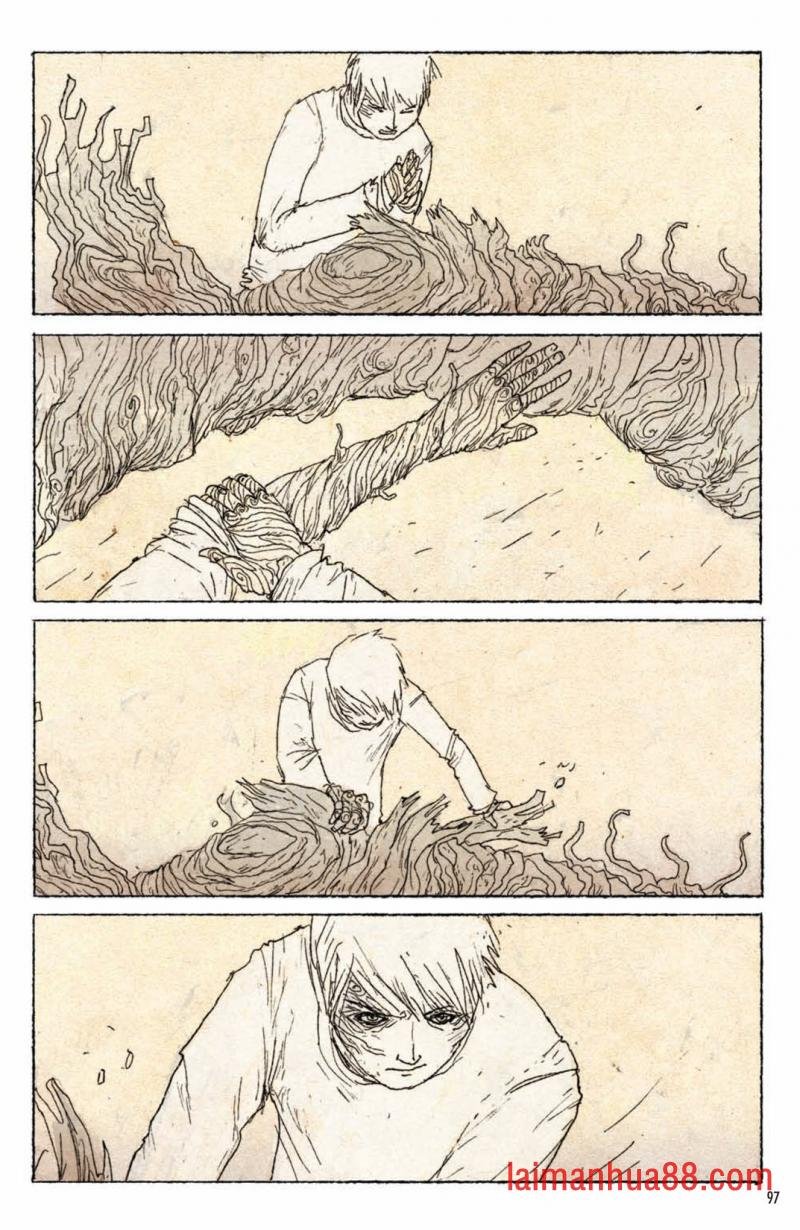 森林
