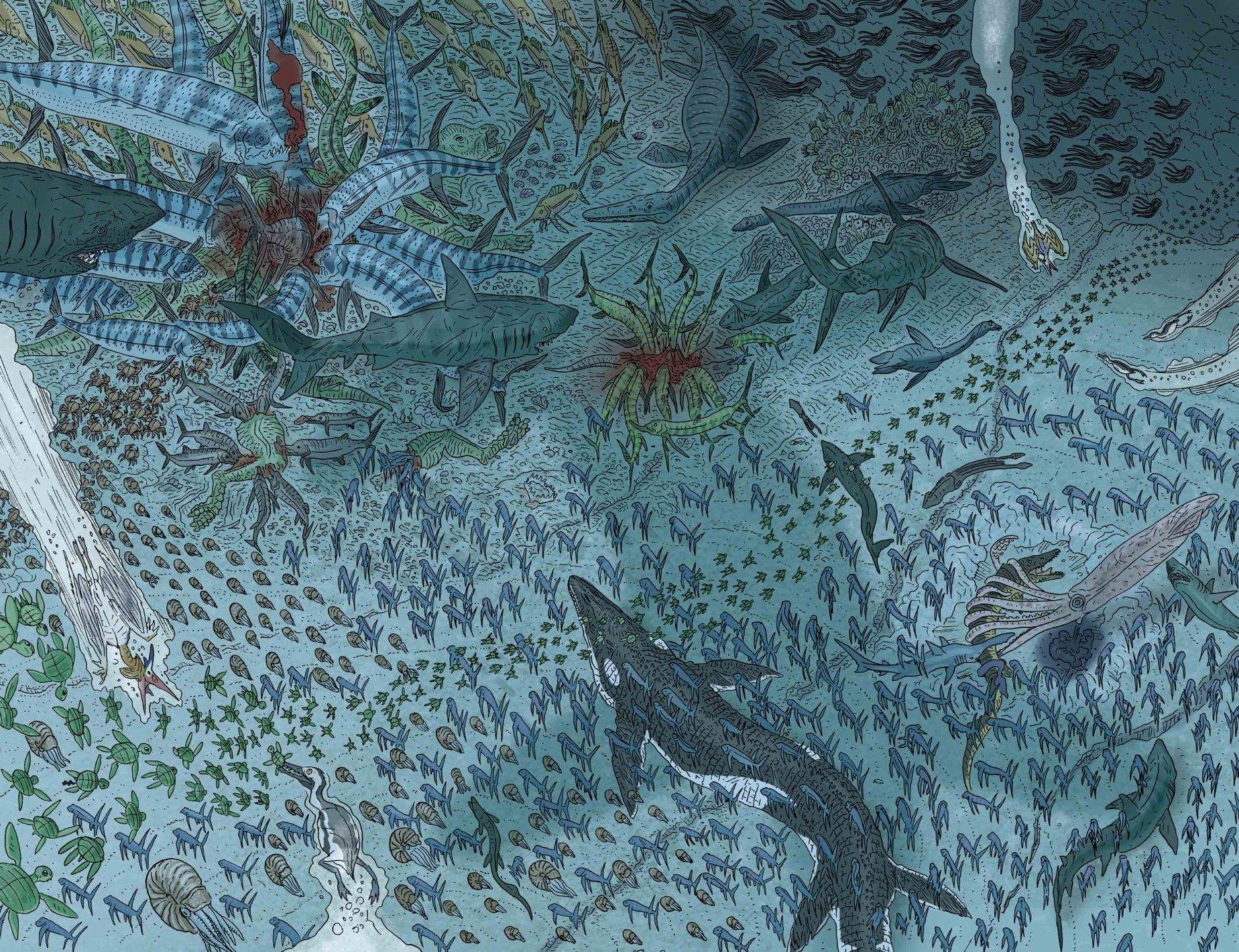 海龟宝宝