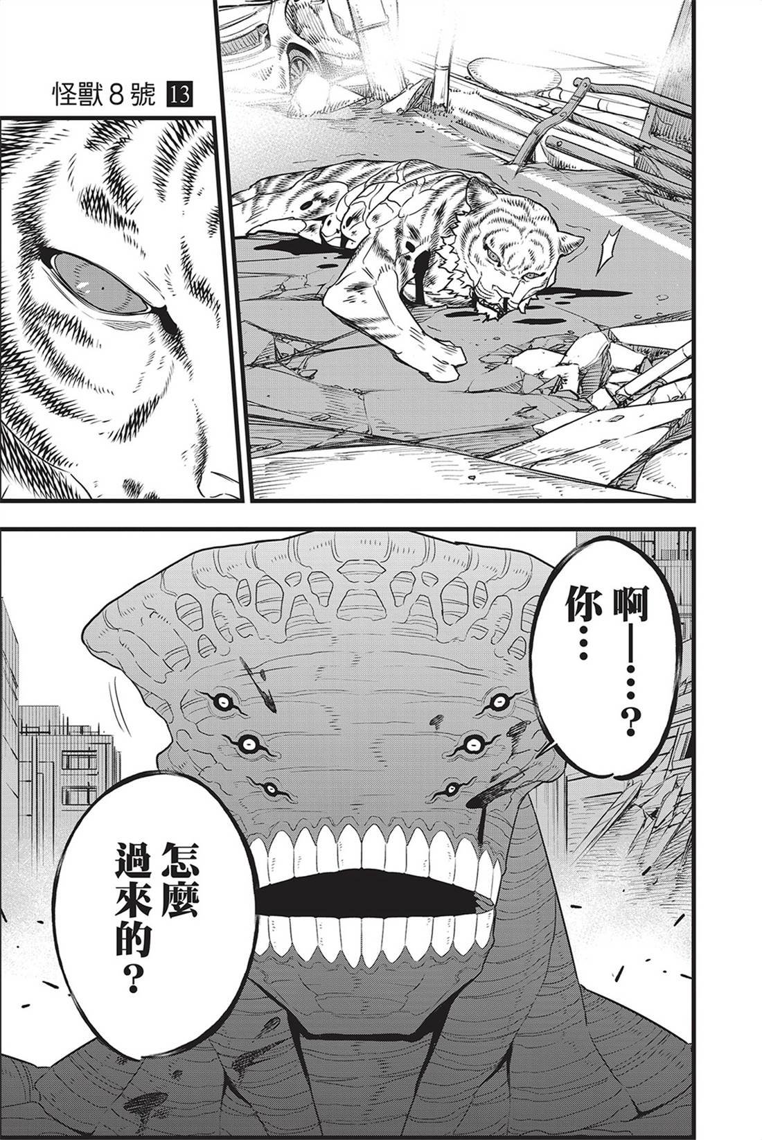 第13卷