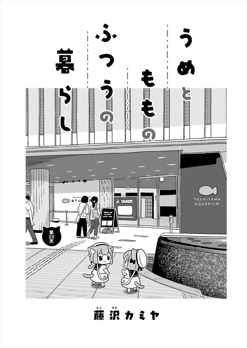 第23话