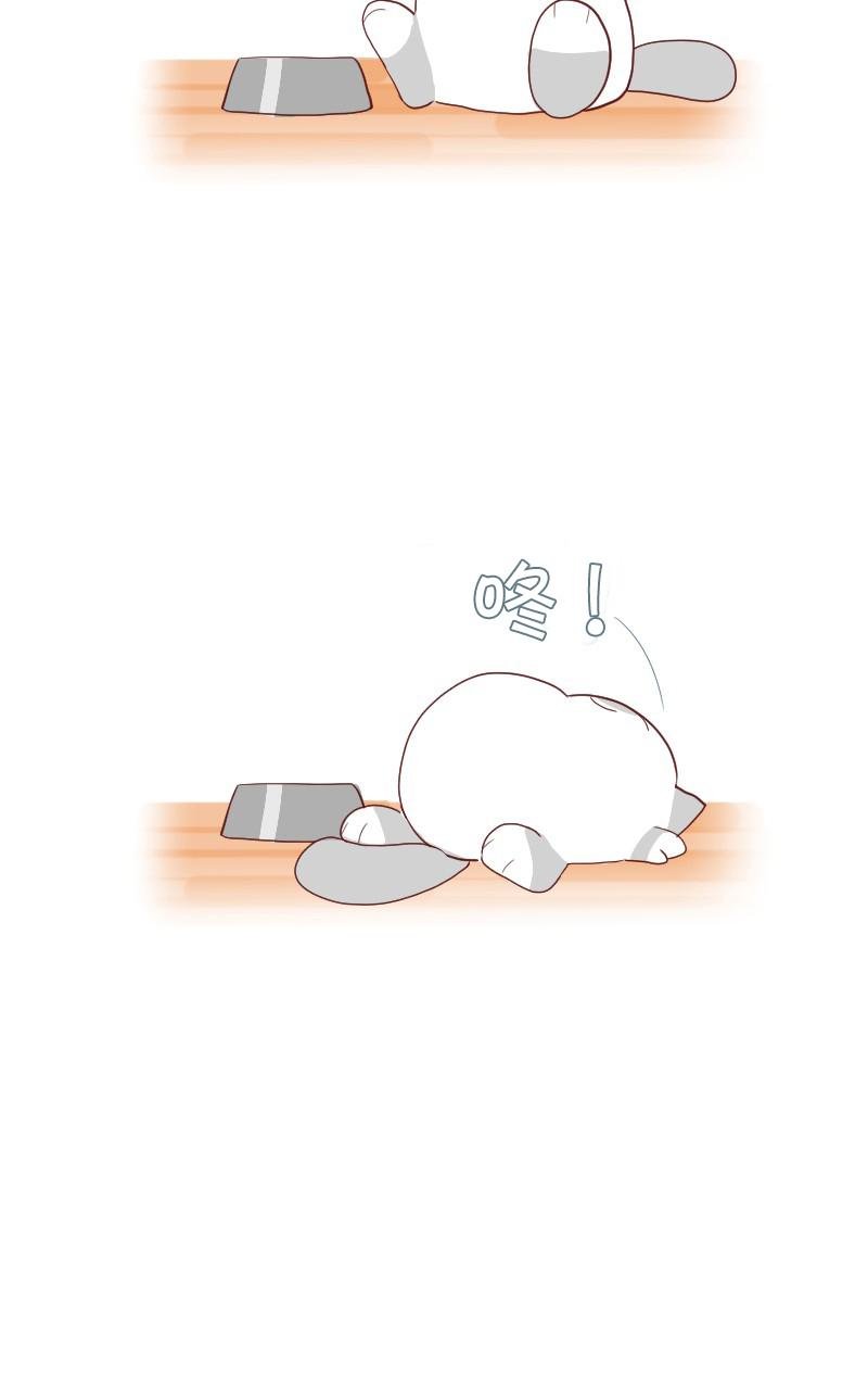 第04话