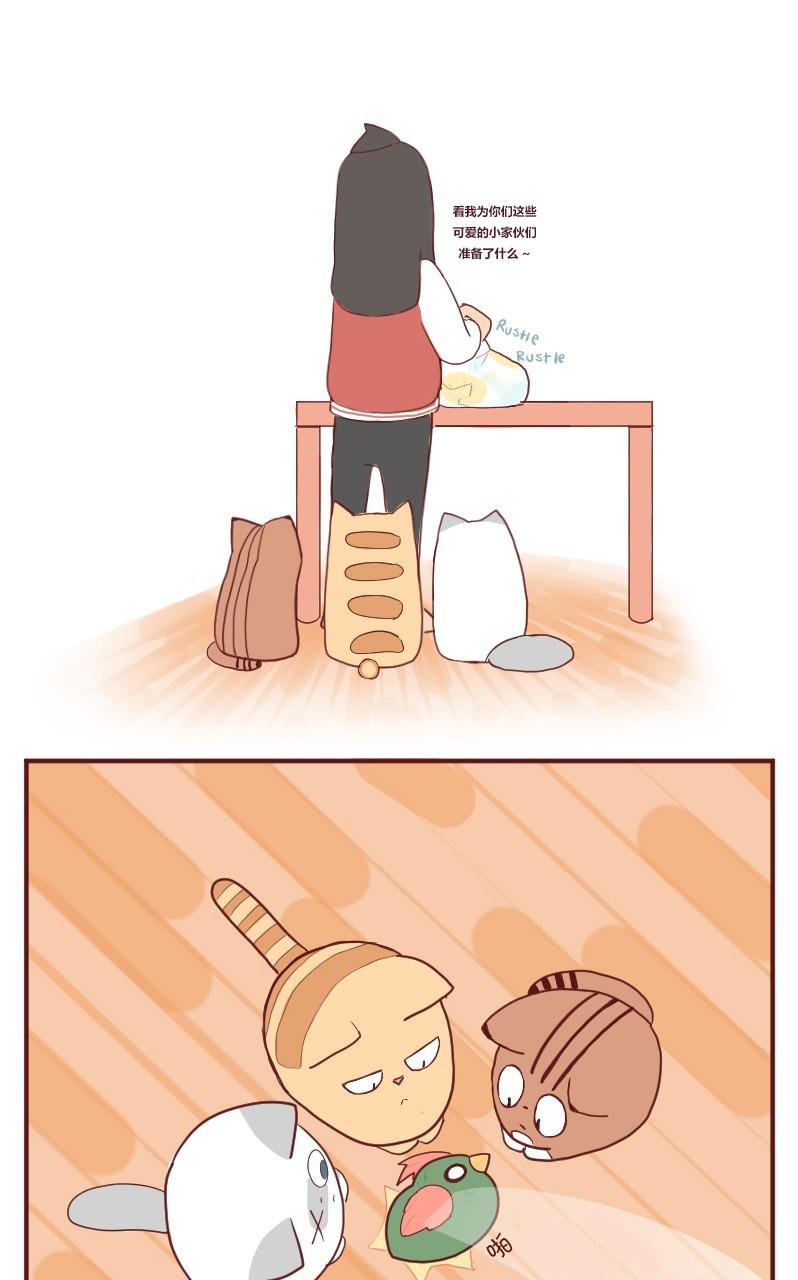 第05话