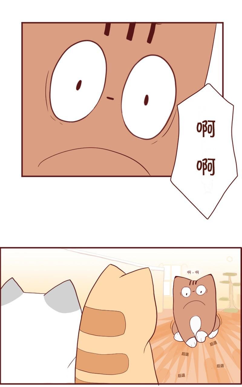 第05话