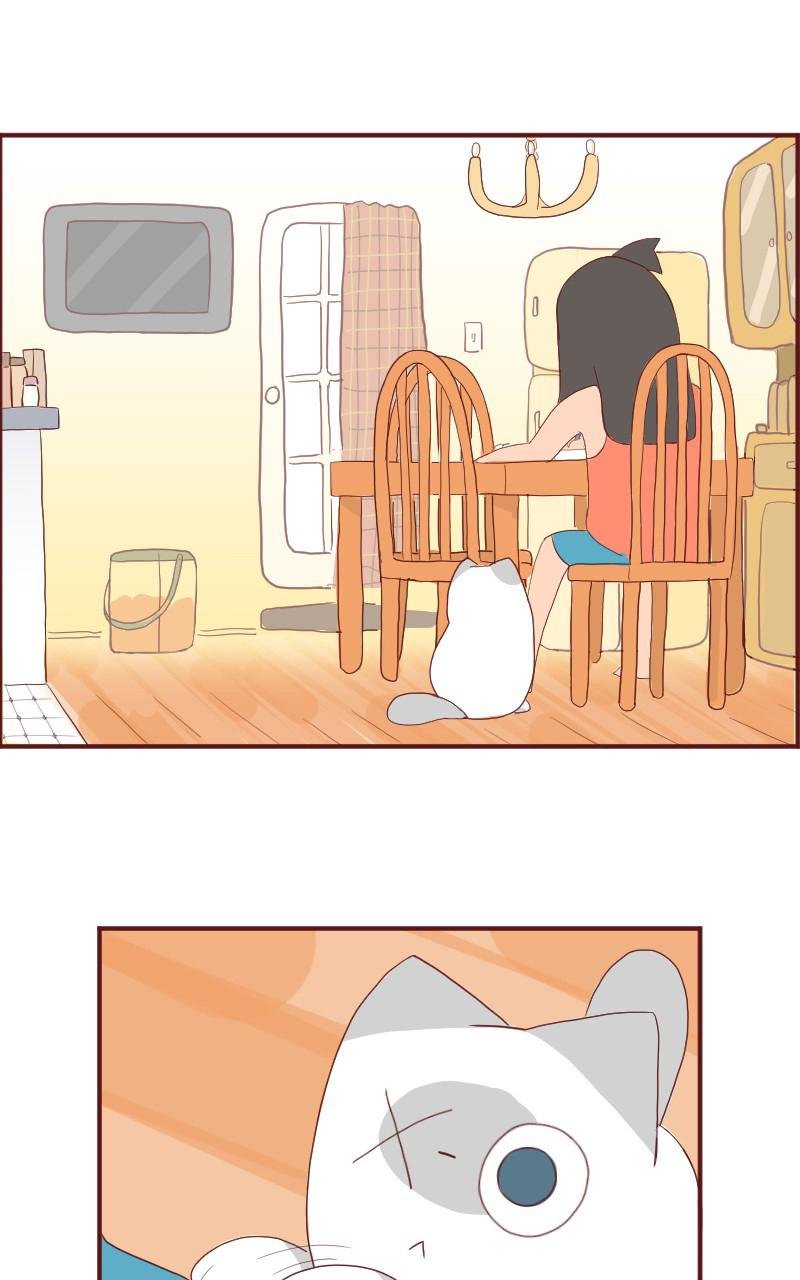 第06话