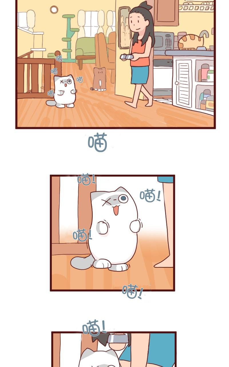 第08话