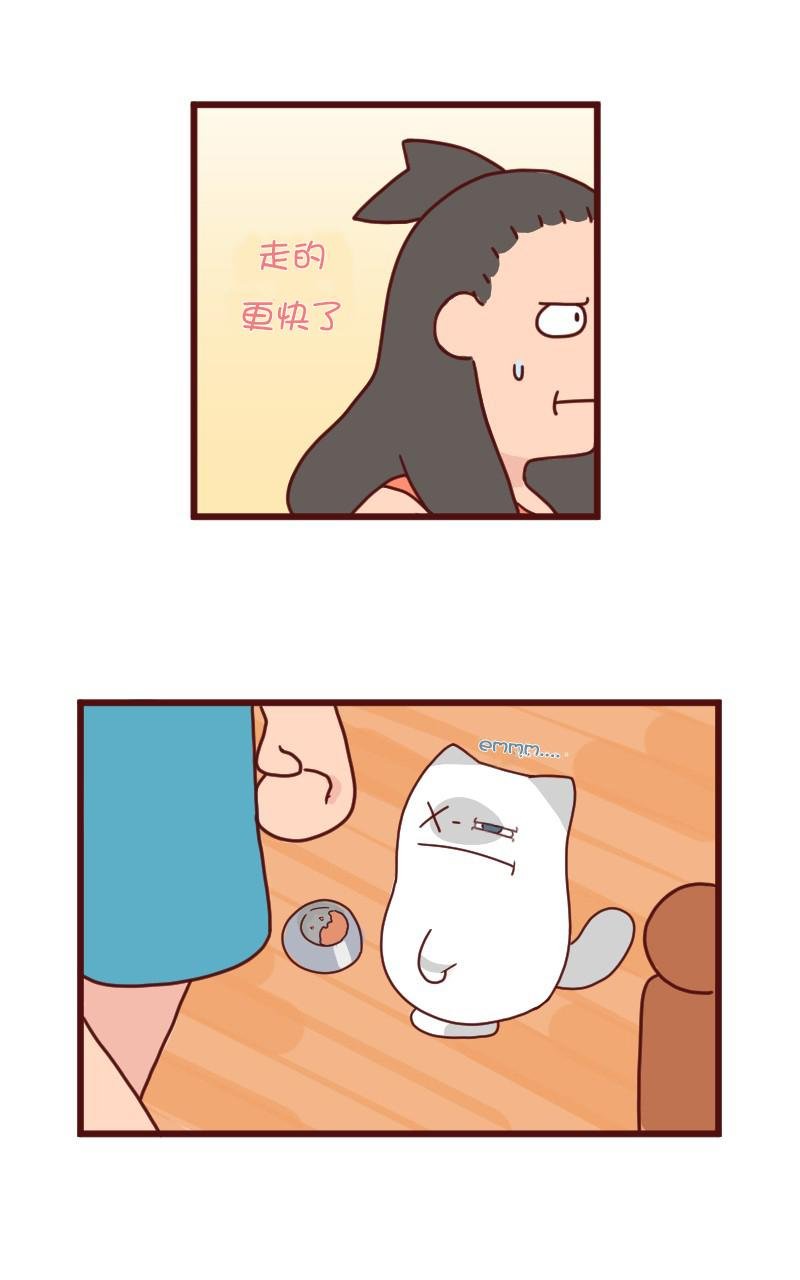 第08话