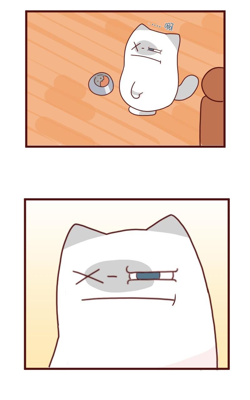 第08话