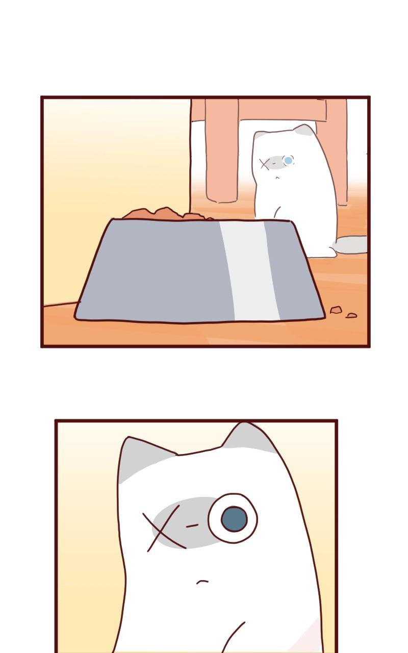 第08话