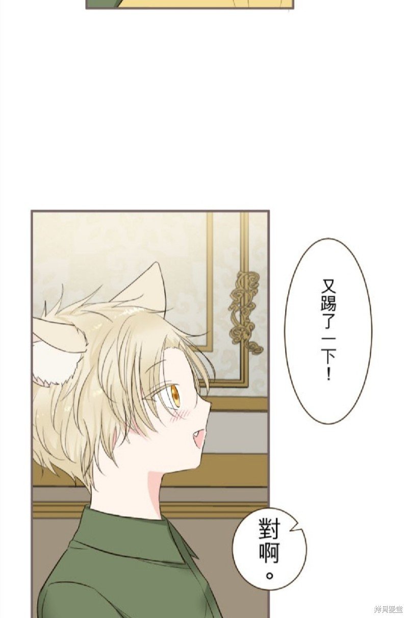 第116话