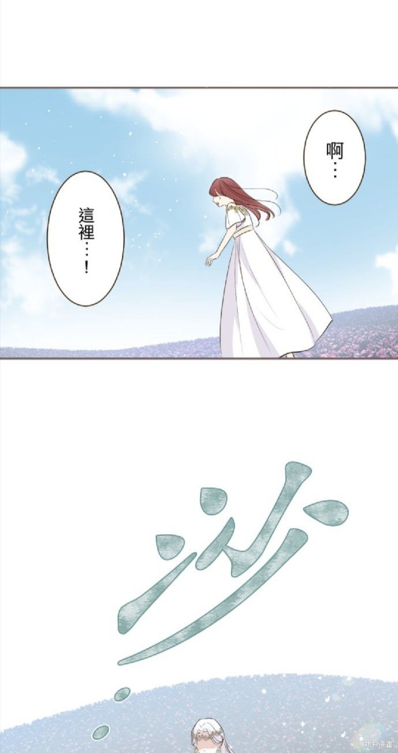 第117话