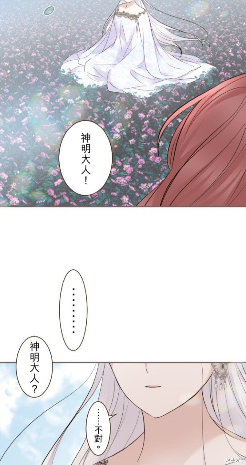 第117话