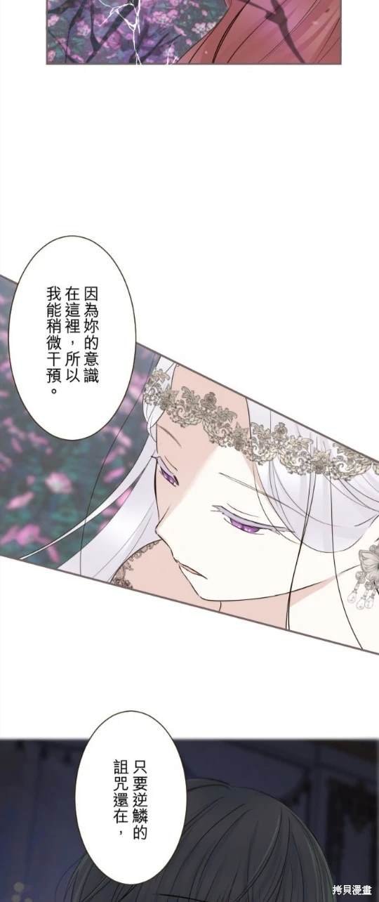第119话