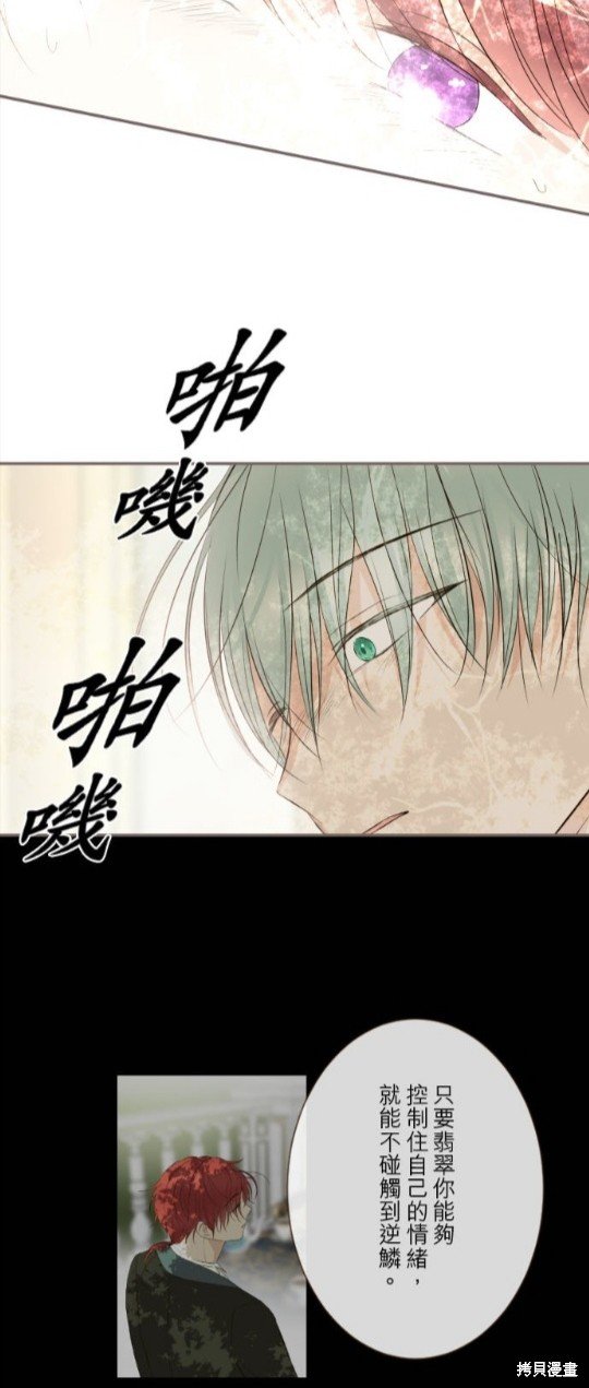 第120话