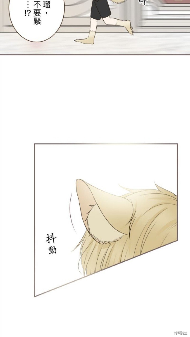 第120话