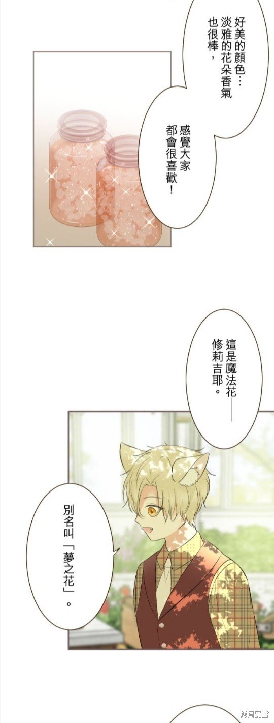 第146话