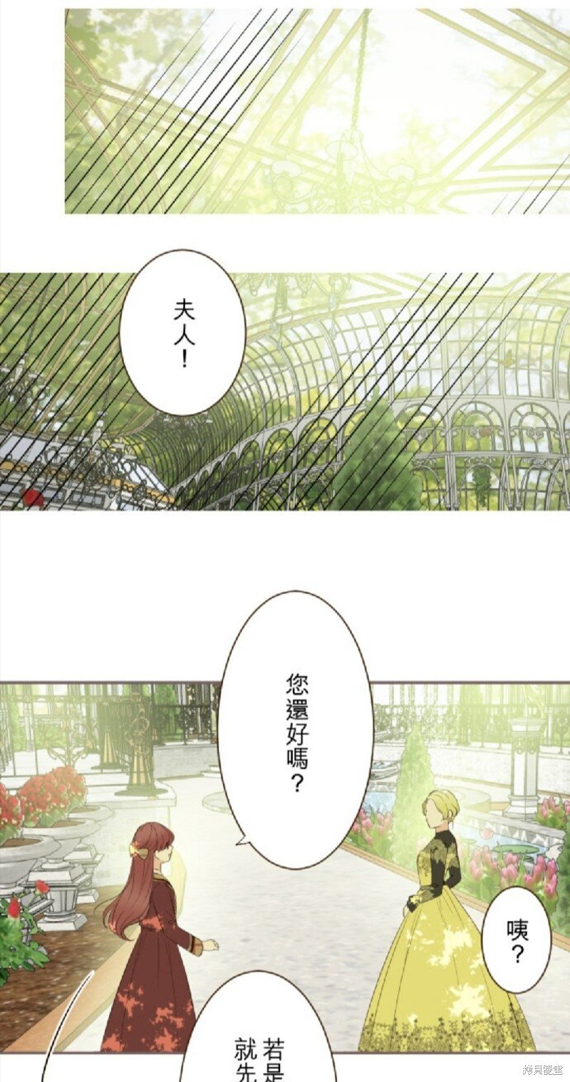 第146话