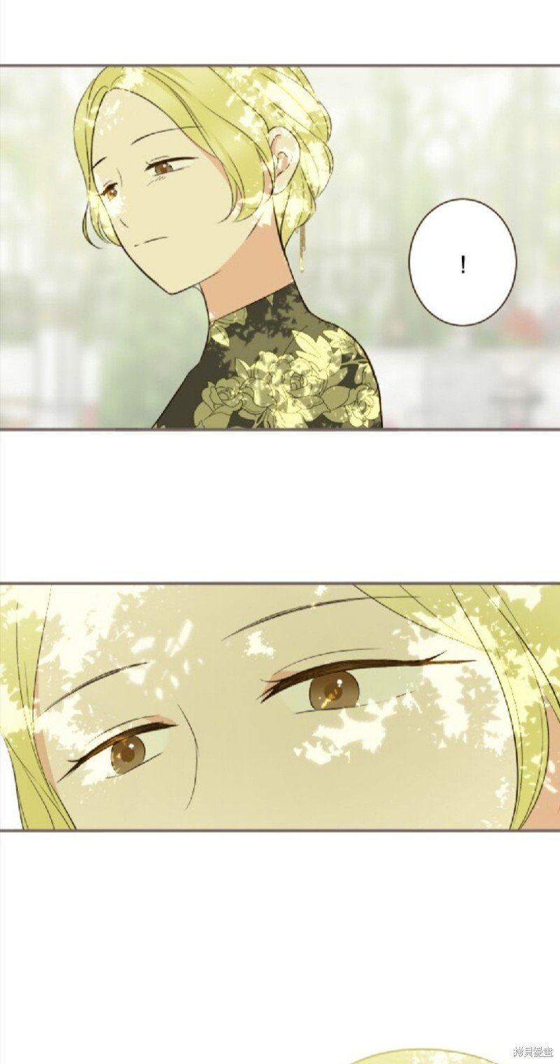 第146话