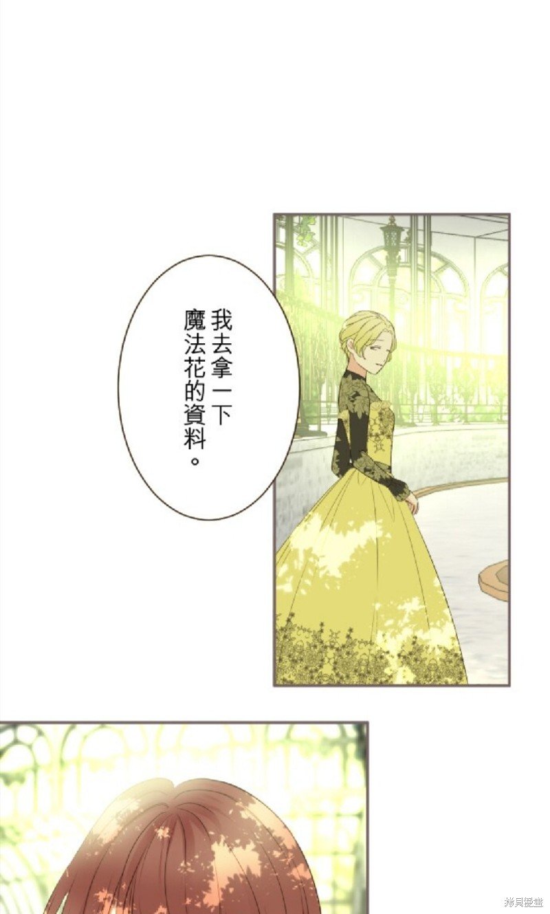 第146话