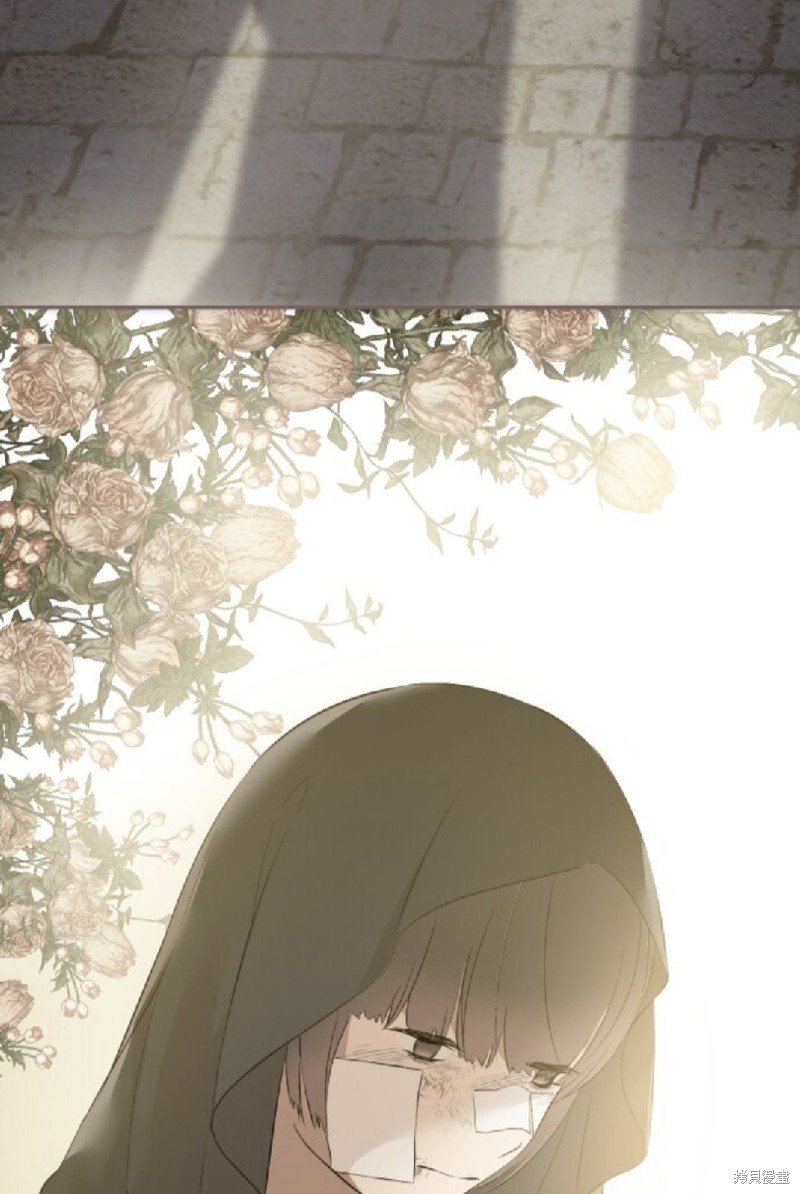 第146话