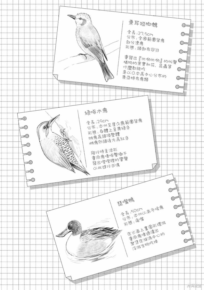 02卷彩页