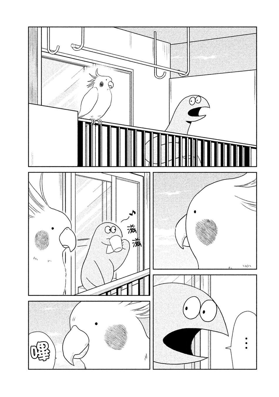 第21话 是朋友哦
