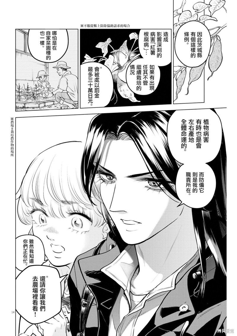 第13话 圣诞节的宝石事件（1）
