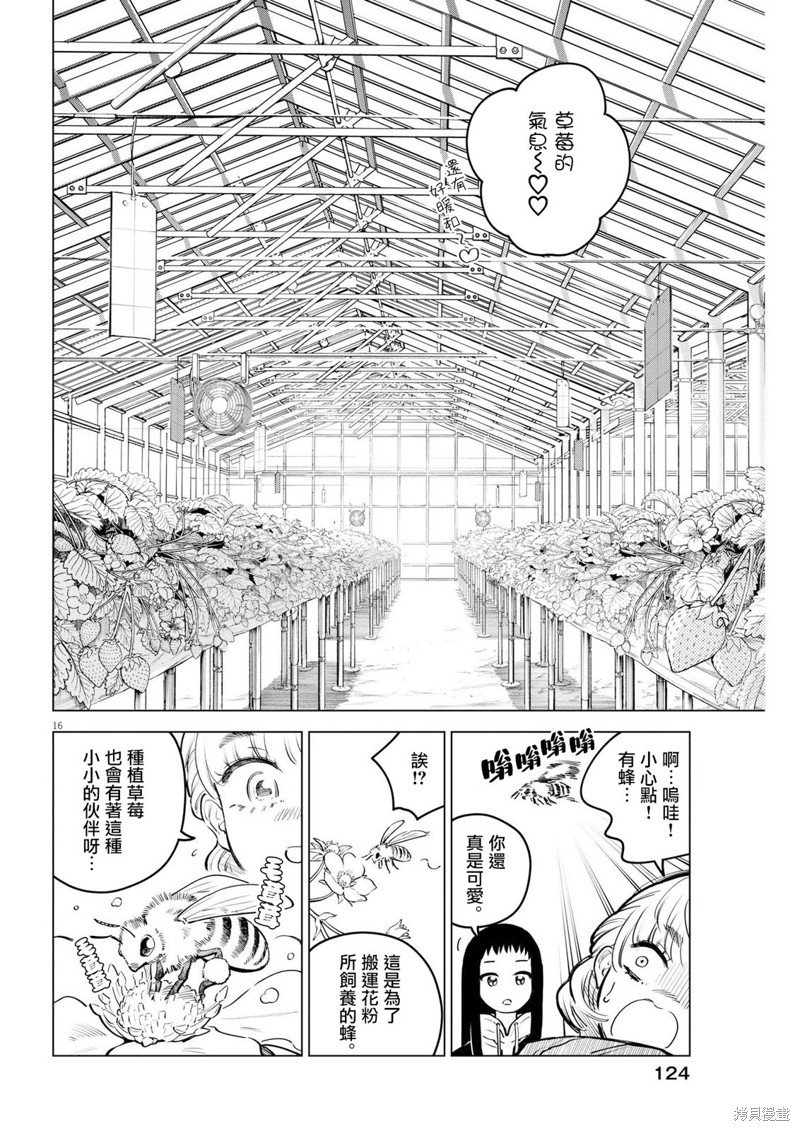 第13话 圣诞节的宝石事件（1）