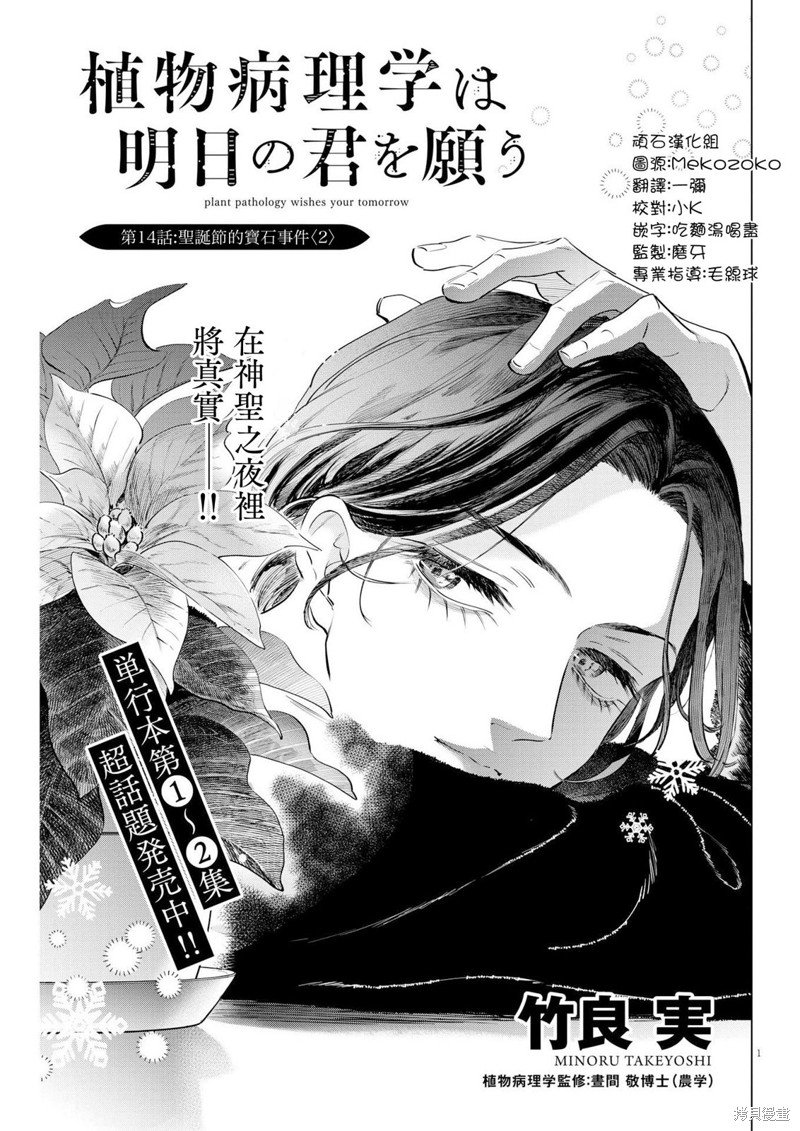 第14话 圣诞节的宝石事件（1）