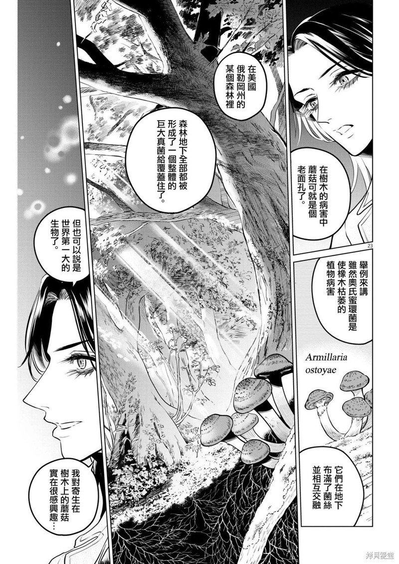 第14话 圣诞节的宝石事件（1）