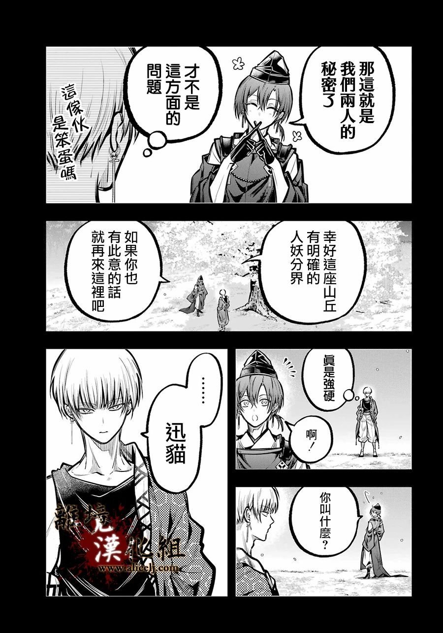 第31话 迅猫的记忆