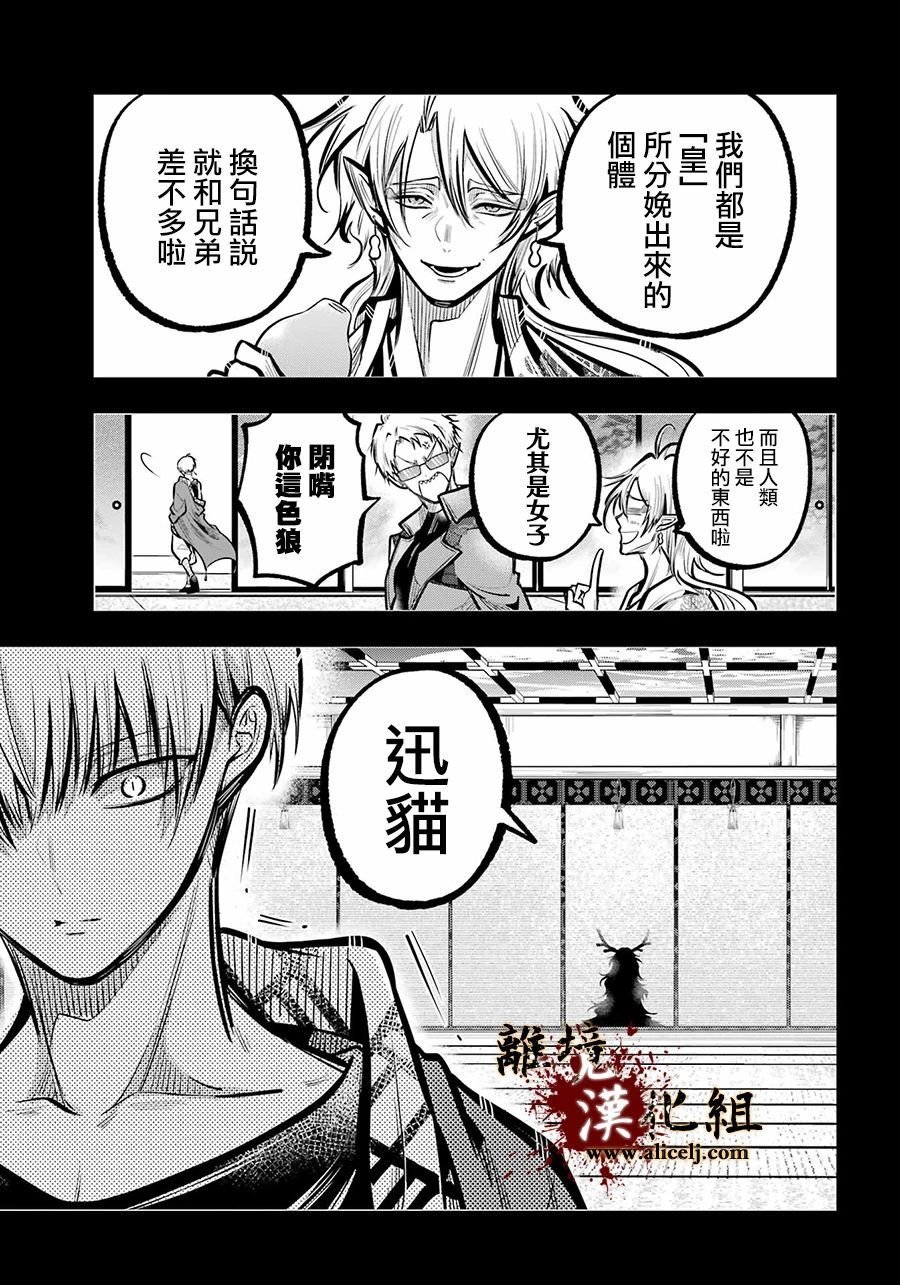 第31话 迅猫的记忆