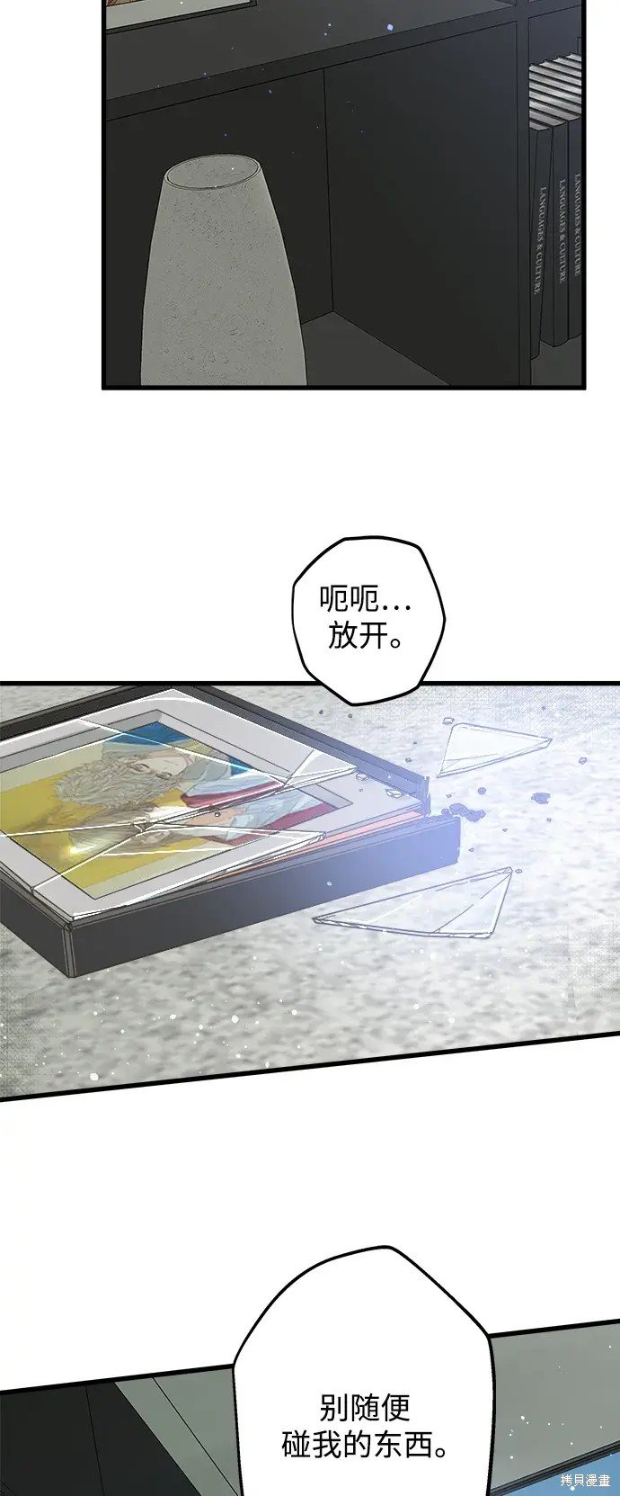 第146话