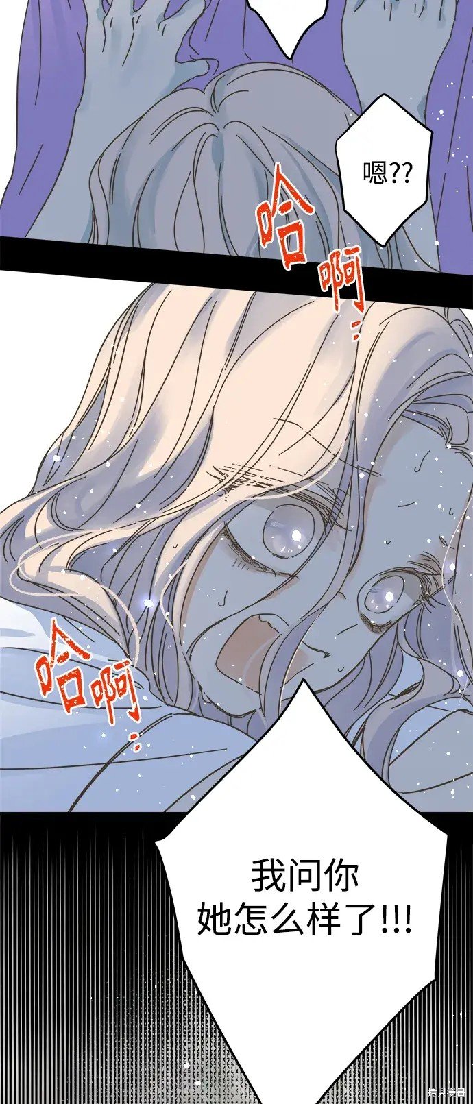 第146话