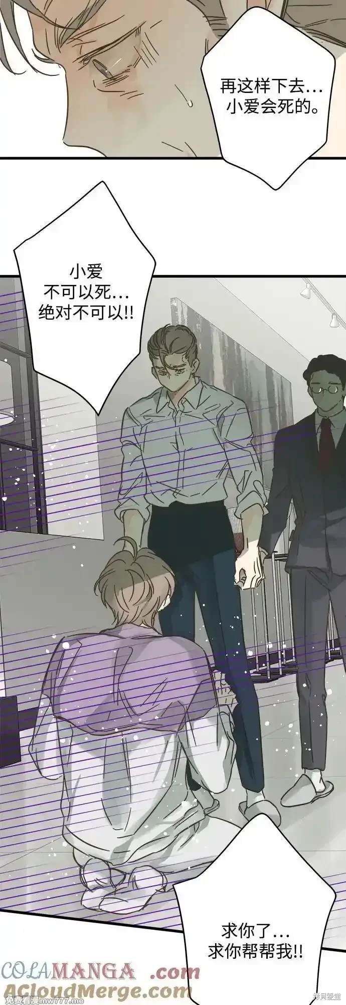 第190话