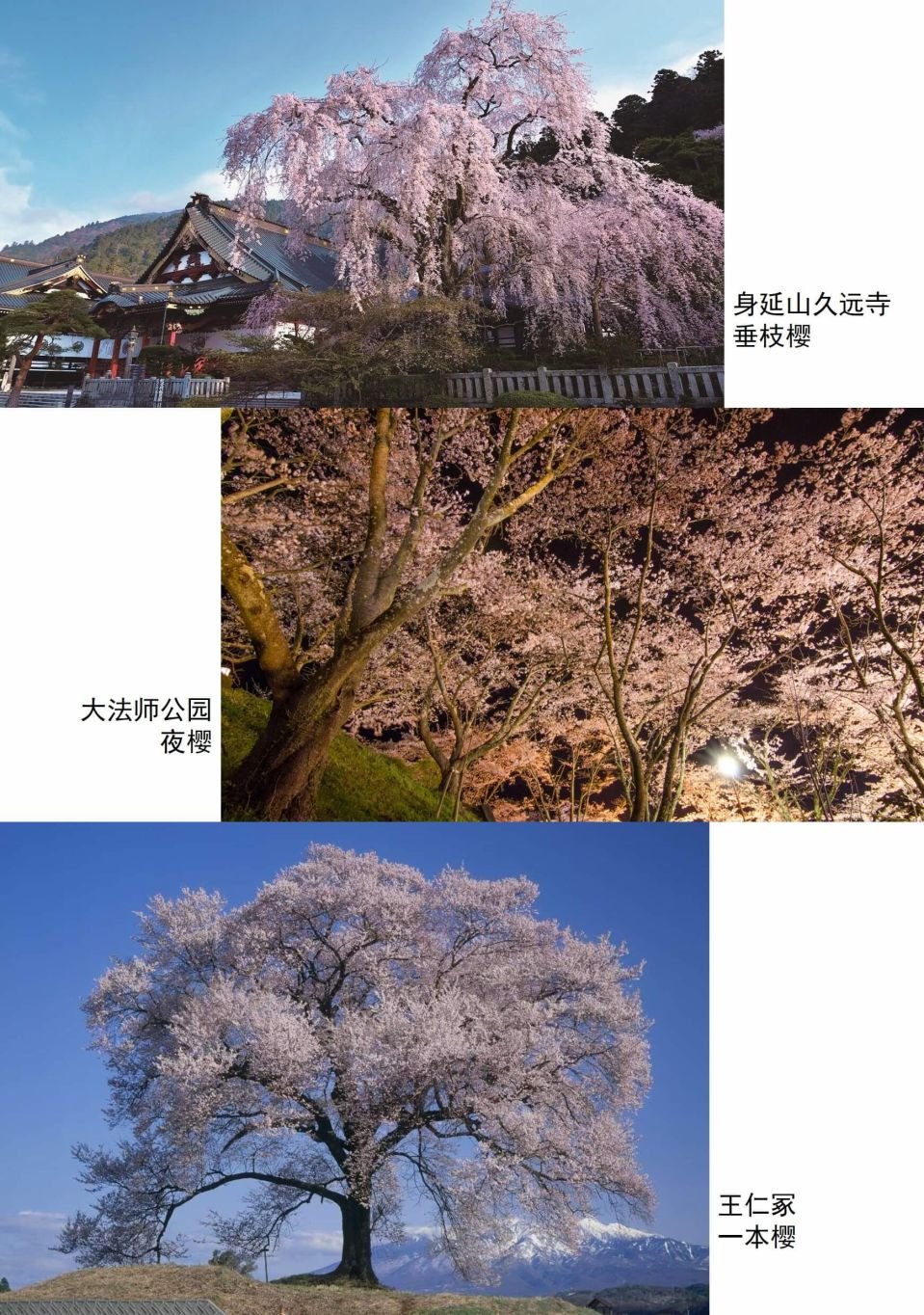 第55话 香肠和从今往后的安排