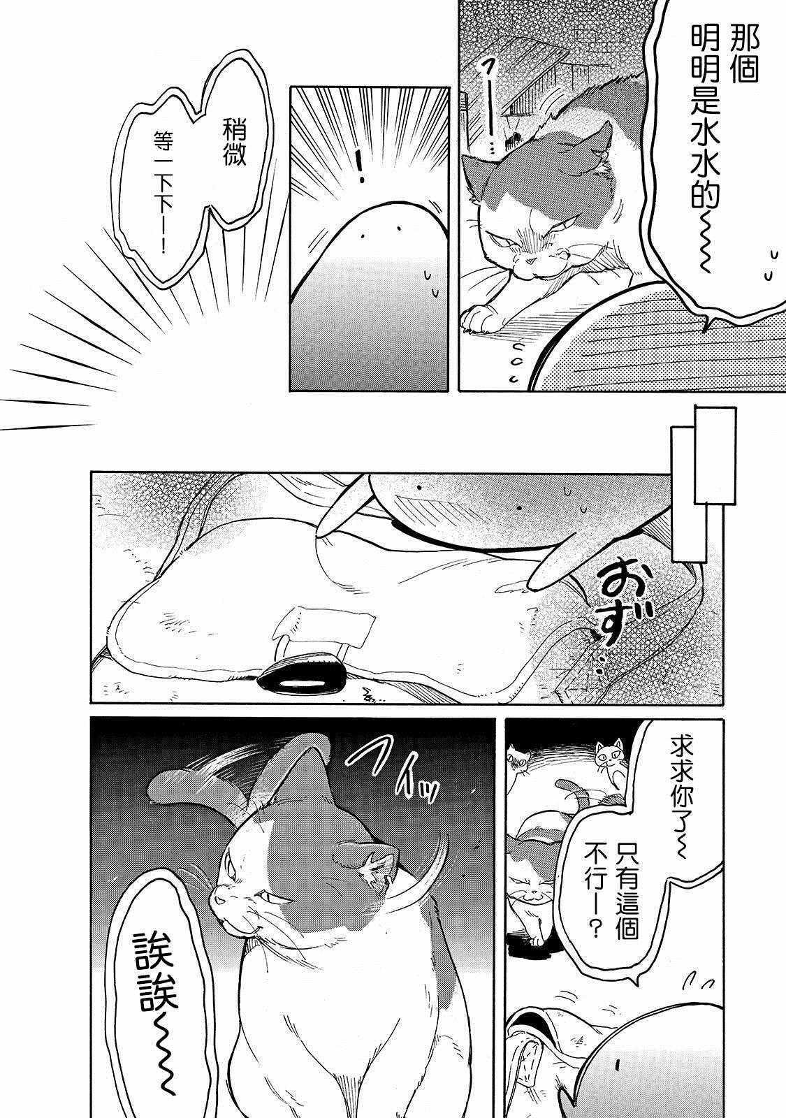 第23话 崭新的皮包和小猫仔