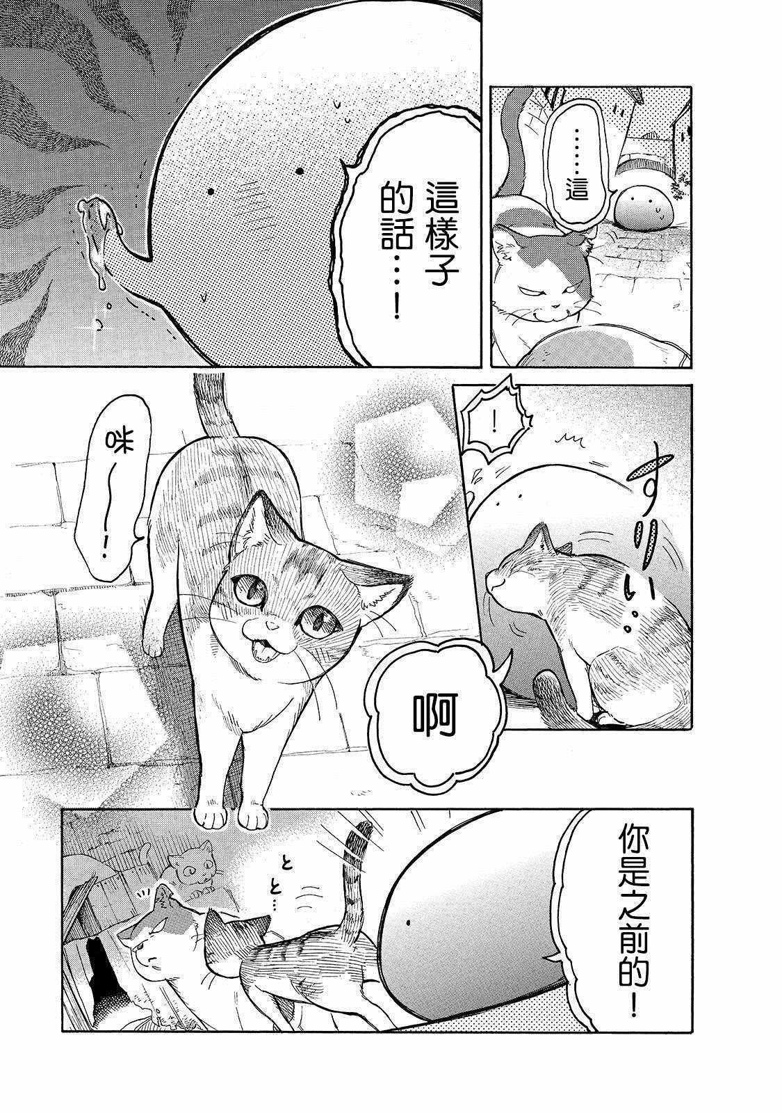 第23话 崭新的皮包和小猫仔