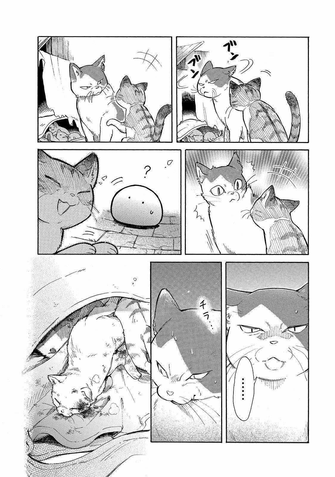 第23话 崭新的皮包和小猫仔