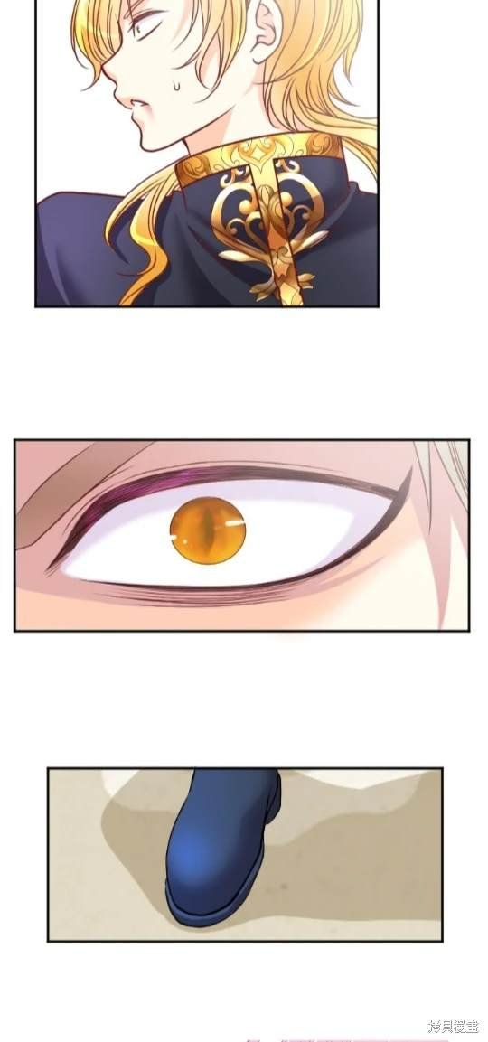 第114话