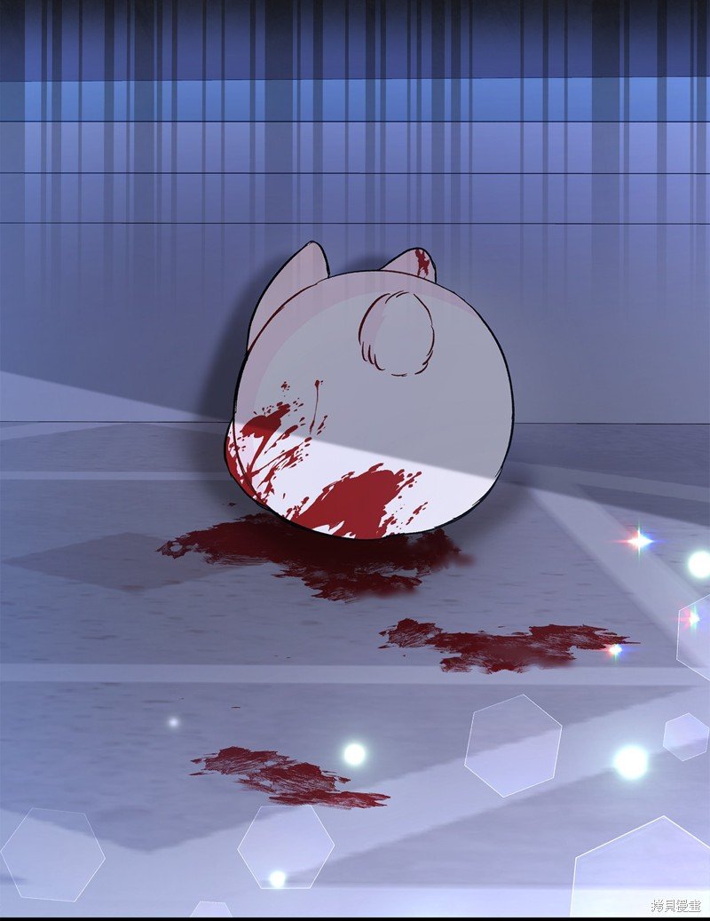 第117话