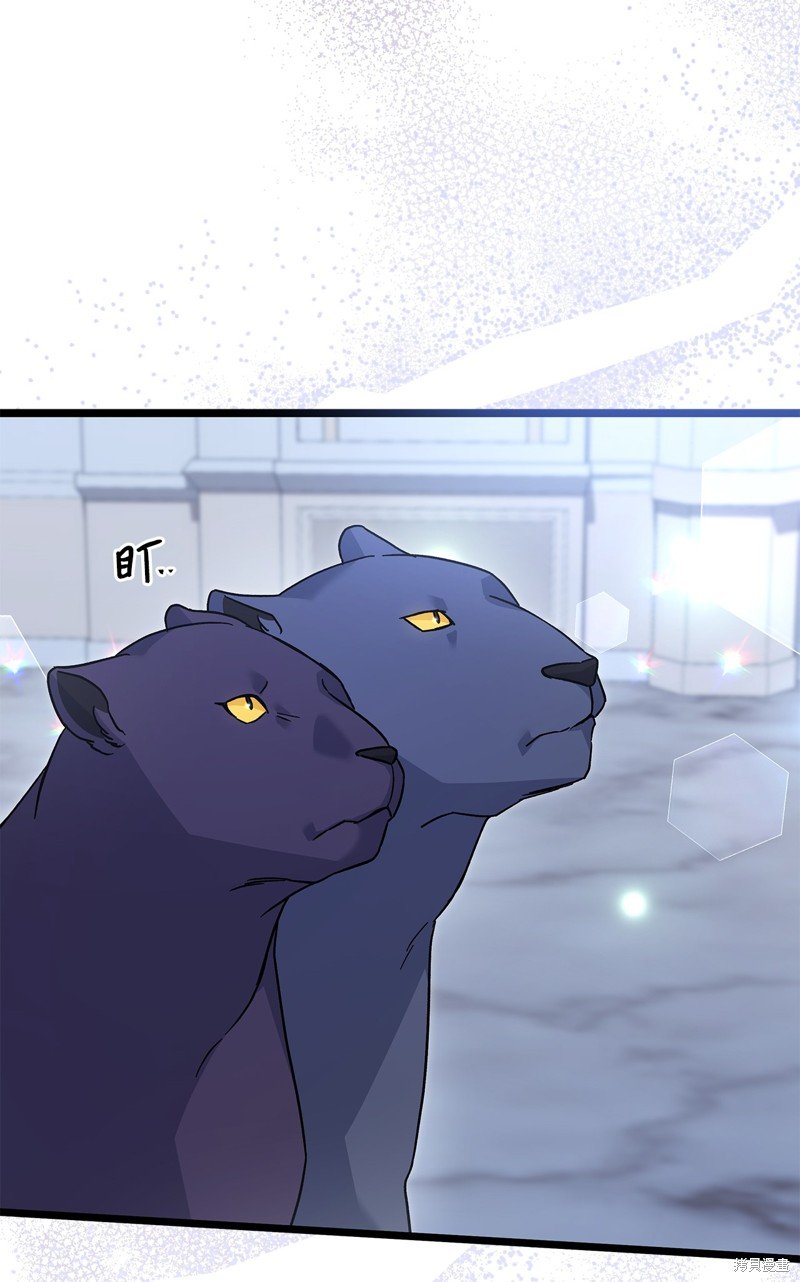 第117话